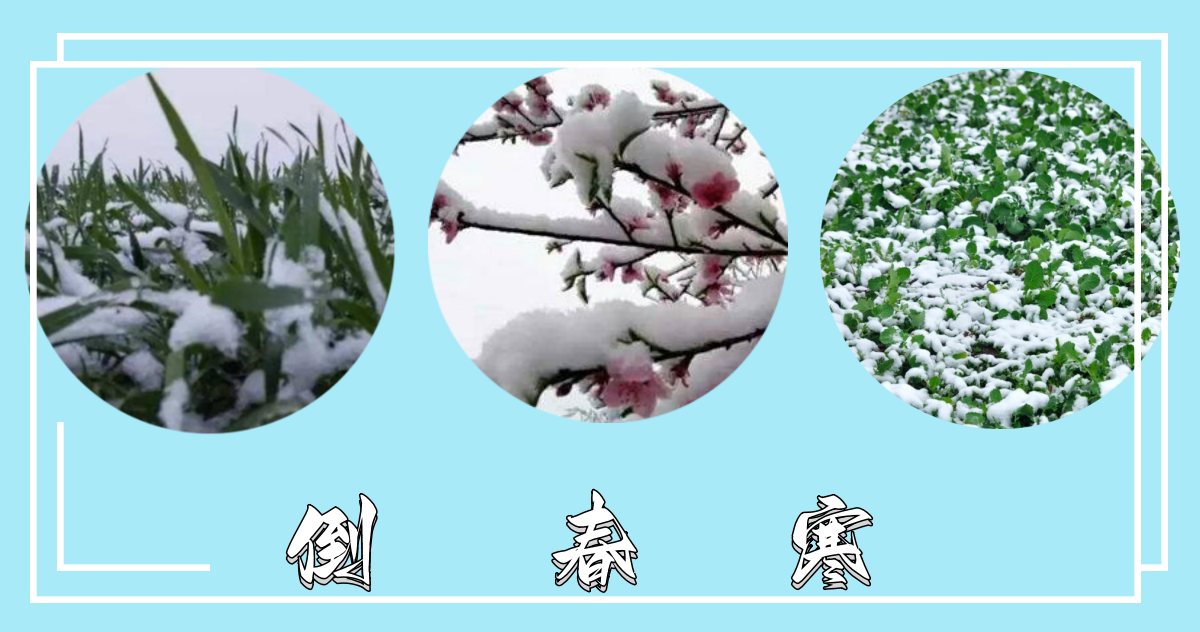 倒春寒.png 倒春寒.png