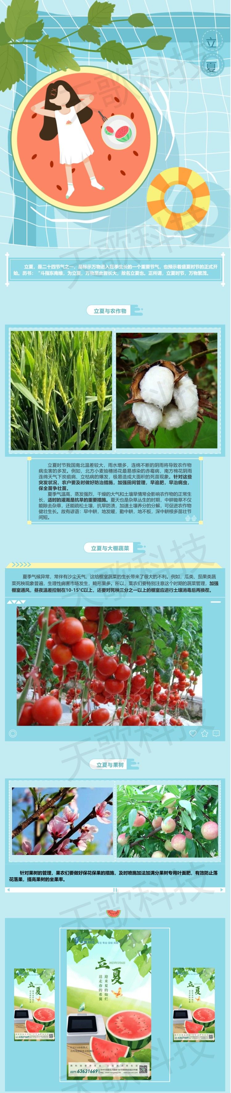 立夏_送走春的希冀，迎來夏的燦爛.jpg