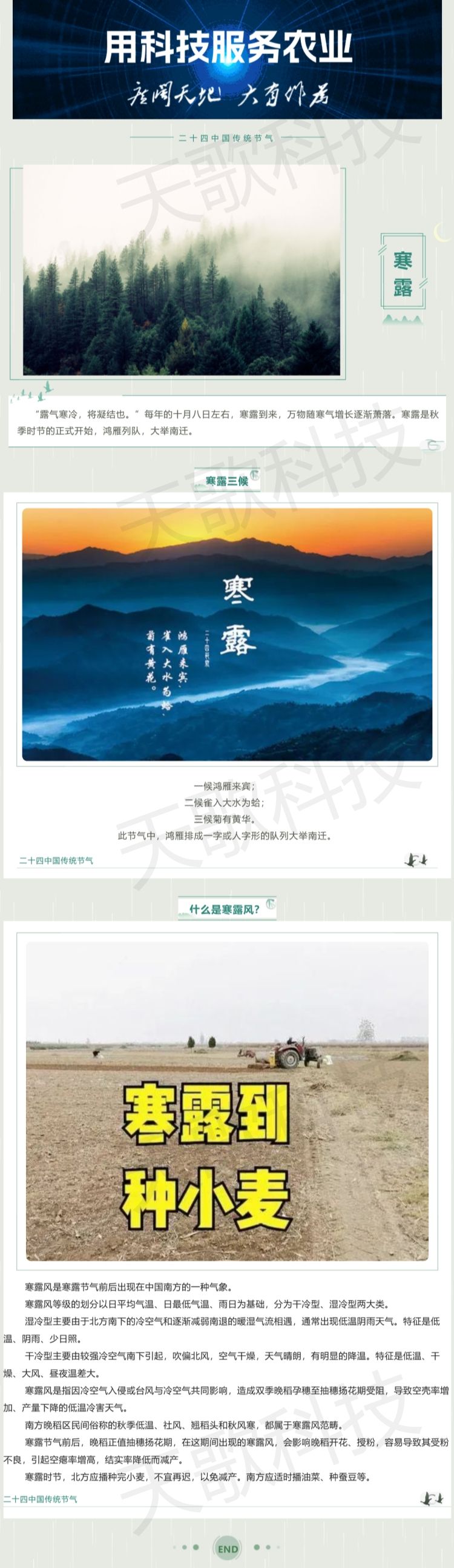 今日寒露：那什么是寒露風(fēng)？.jpg