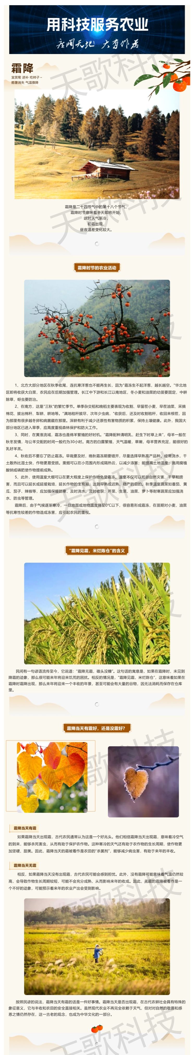 今日霜降：“霜降見霜，米爛陳倉”，那到底有霜好還是無霜好？.jpg