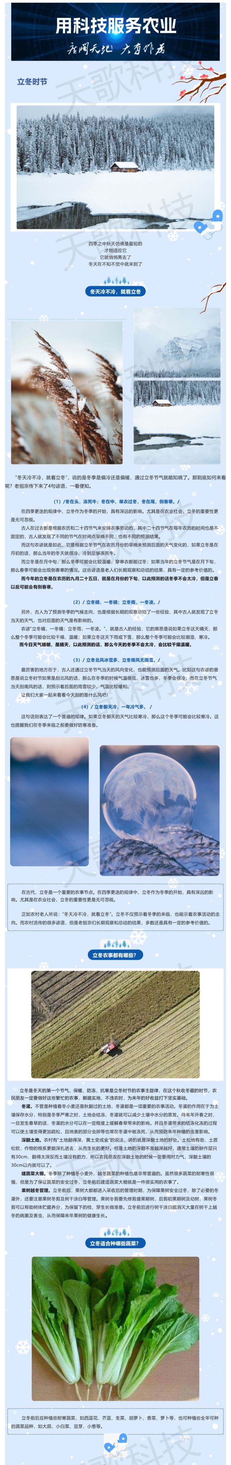 今日立冬_老人說“冬天冷不冷，就看立冬”，那今年冬季到底冷不冷？.jpg