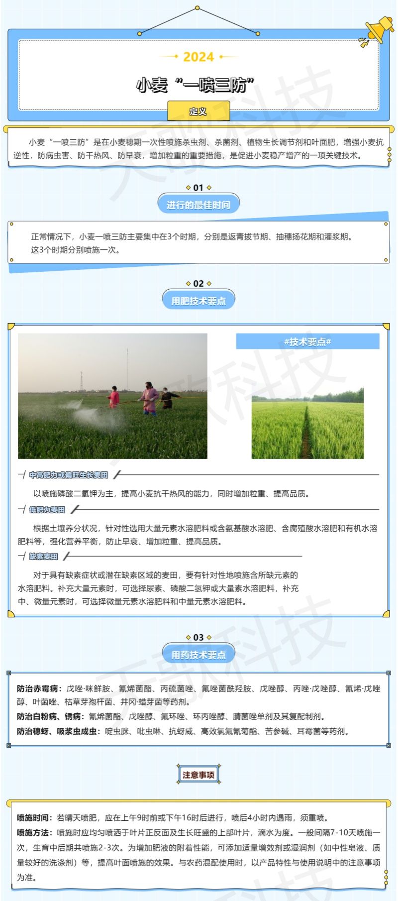 農(nóng)技分享_什么是小麥“一噴三防”？技術(shù)要點都有哪些？-加水印.jpg